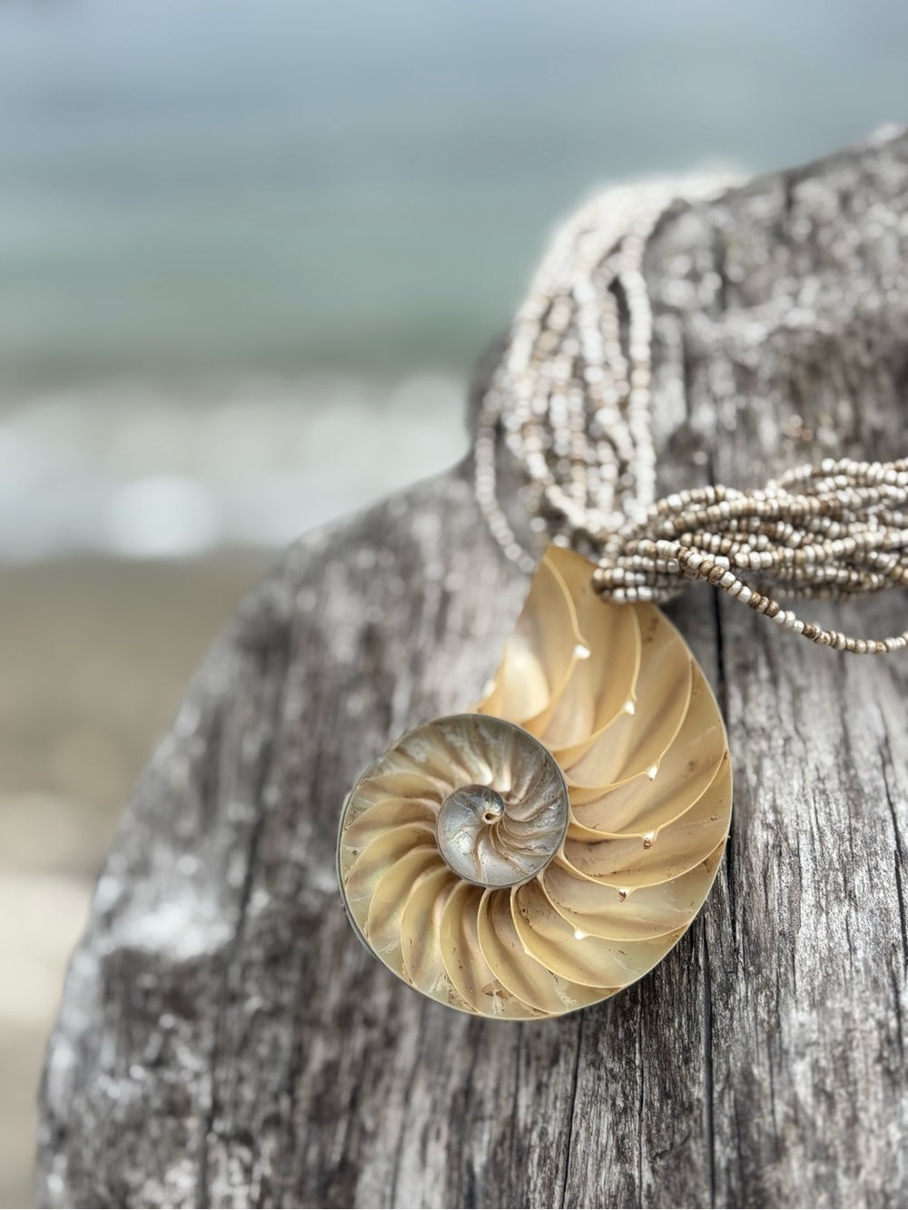 Vintage Nautilus Shell Multi-Strand Statement Necklace • Reversible • Iridescent